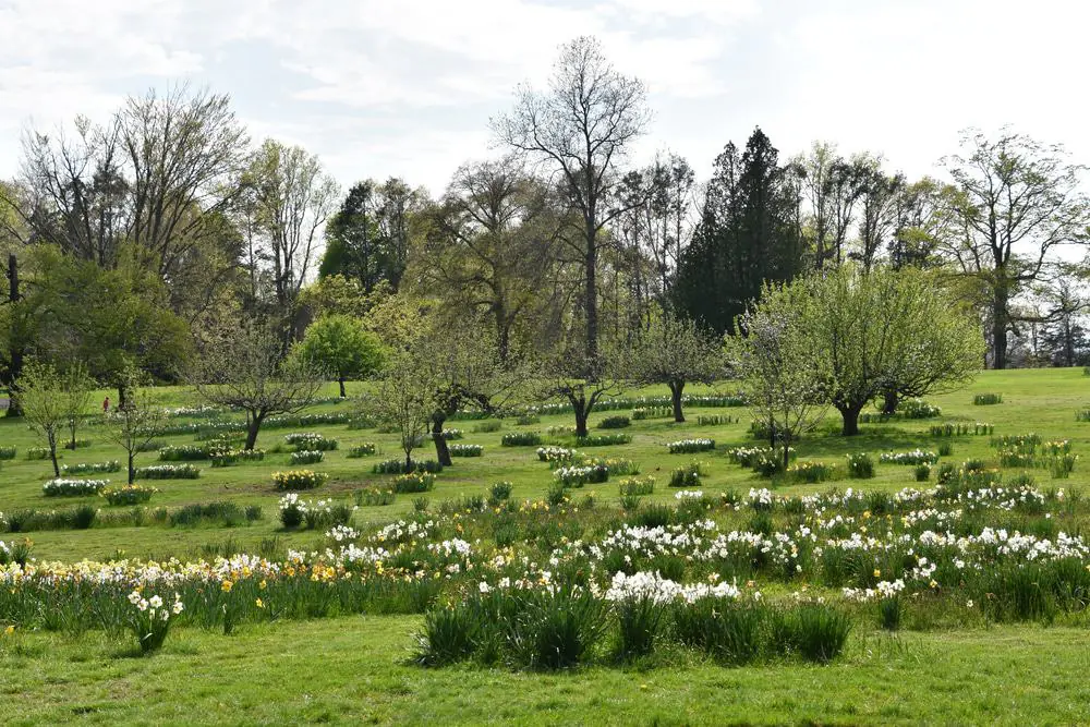 Irwin Park