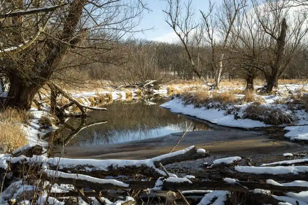 Poplar Creek