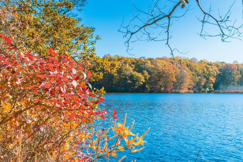Killens Pond State Park