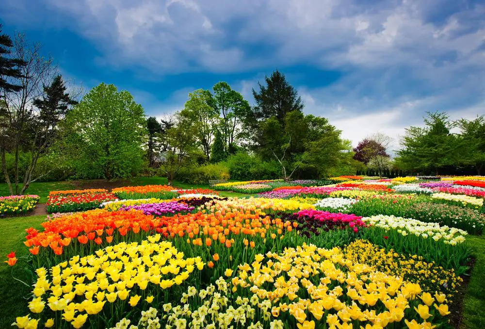 Longwood Gardens