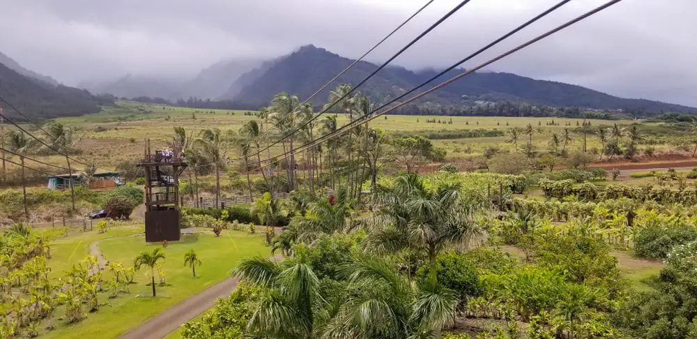 Maui Zipline Company