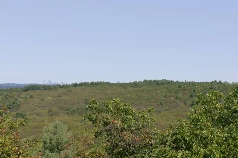 Noanet Woodlands