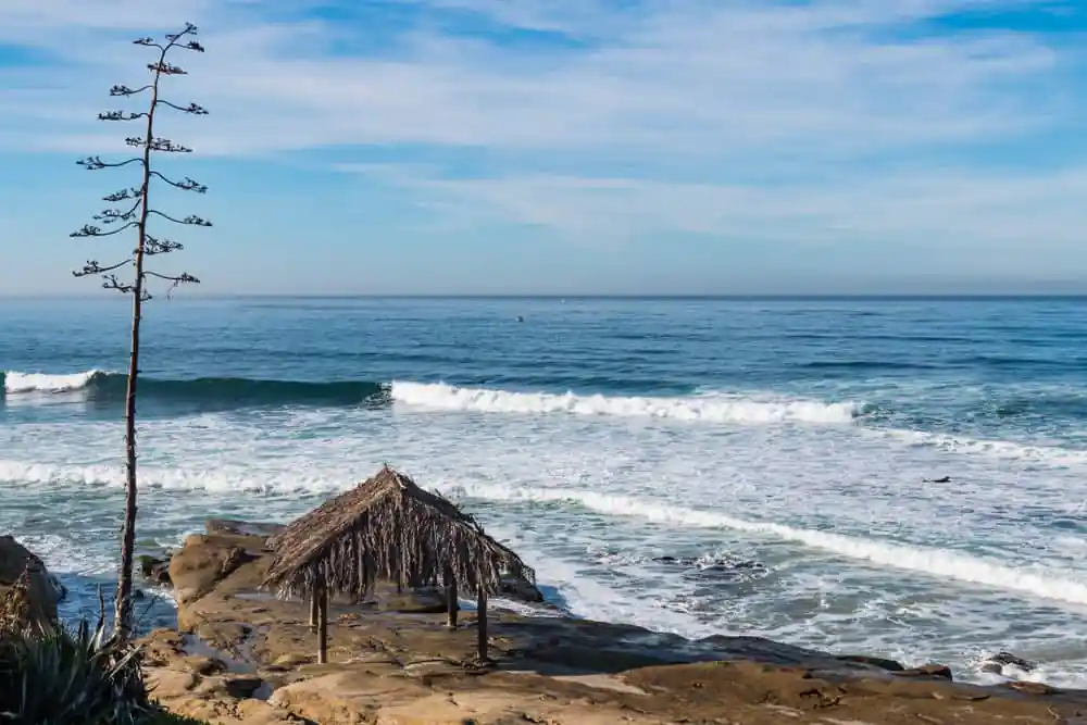 Windansea Beach