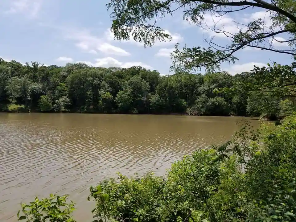 Sauk Trail Woods