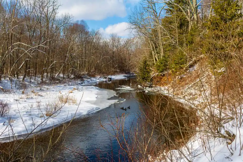 Scantic River State Park
