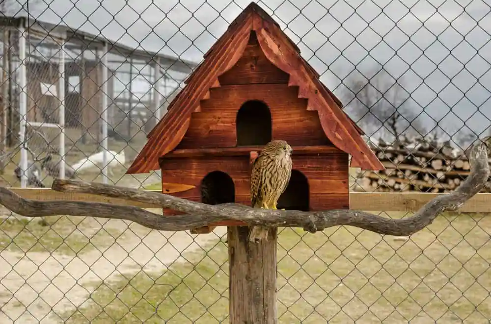 Willowbrook Wildlife Center