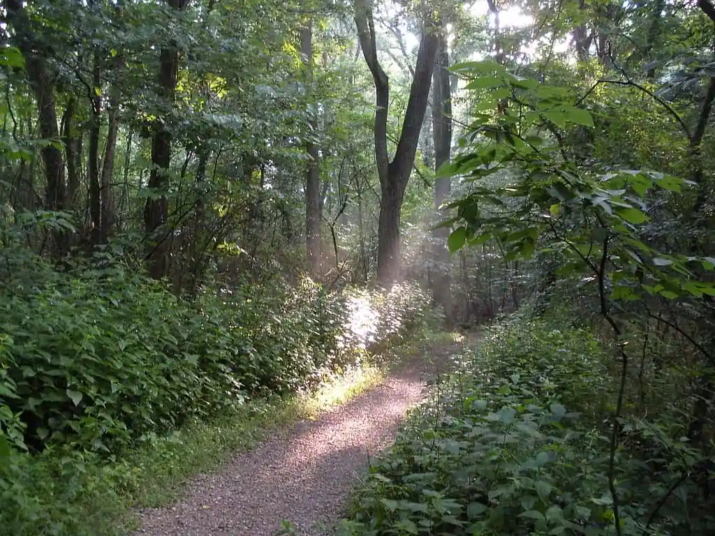 Withrow Nature Preserve