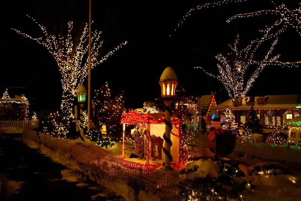 ZooLights Stoneham