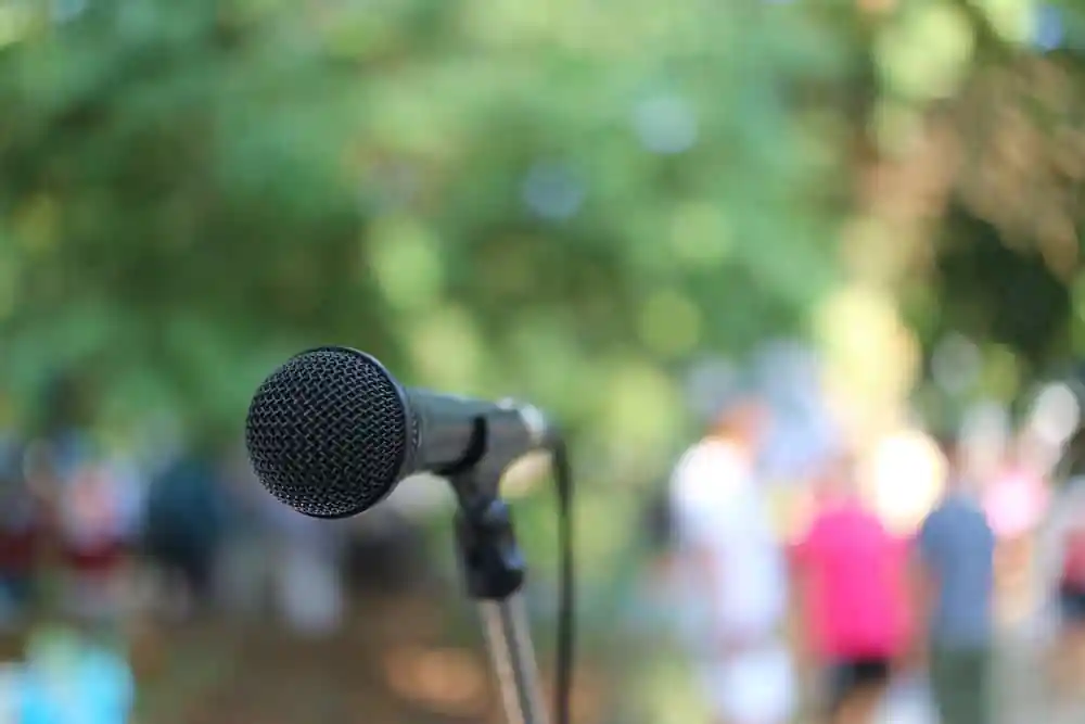 Concert in the Park