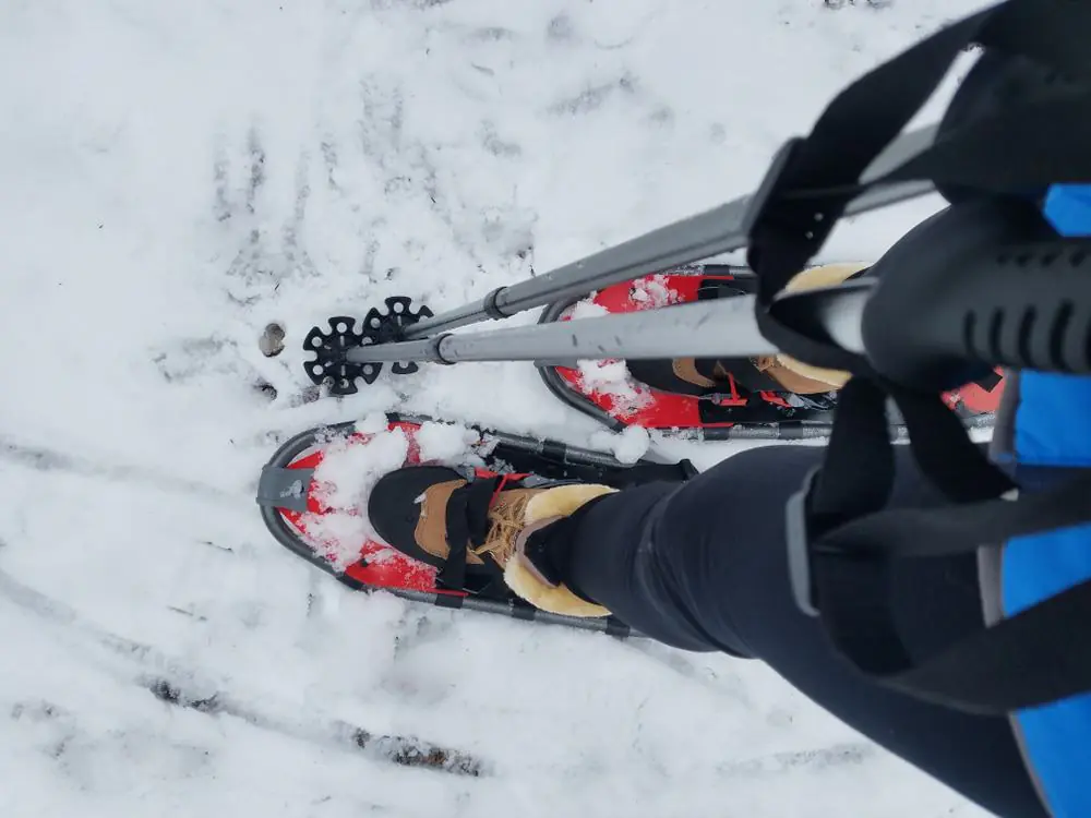 Annual Norway Winter and Snowshoe Festival
