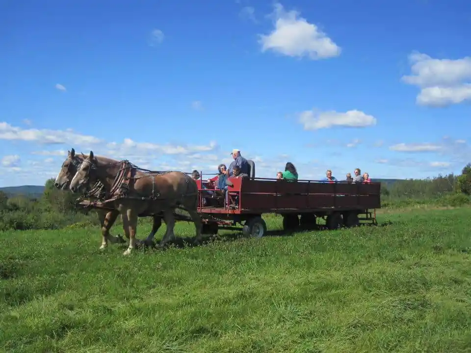 Apple Farm
