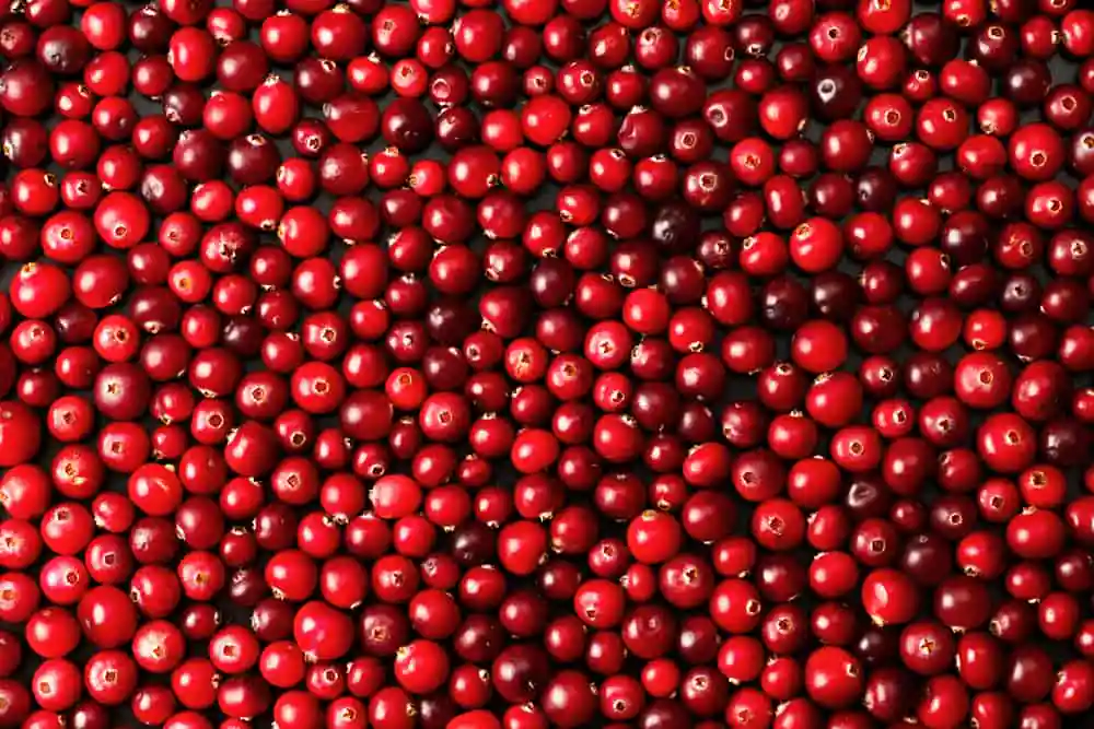Cranberry