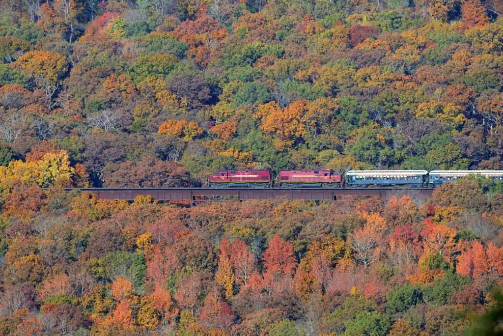 Excursion Train