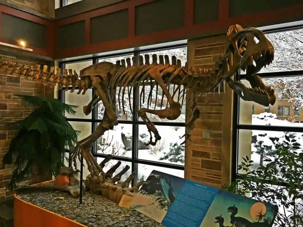 Fryxell Geology Museum