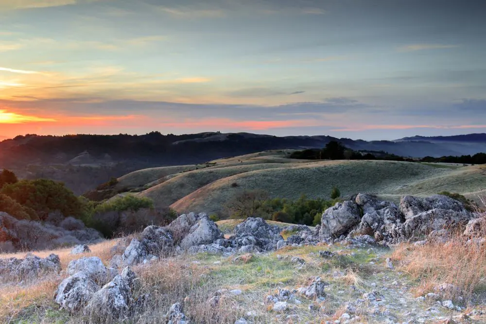 Monte Bello Open Space Preserve