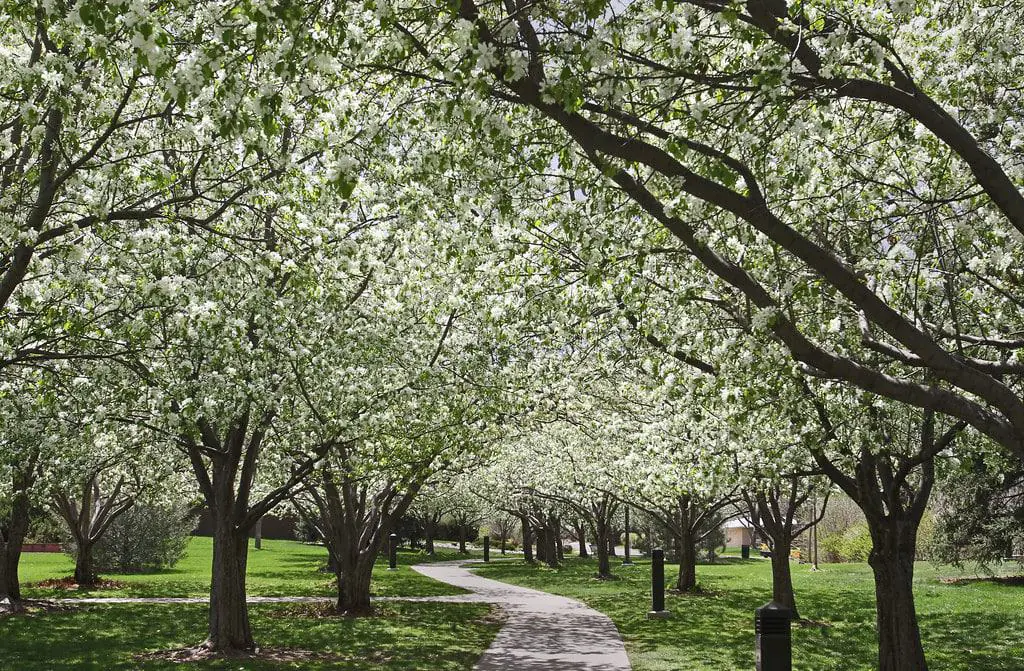 Glenmere Park, Greeley