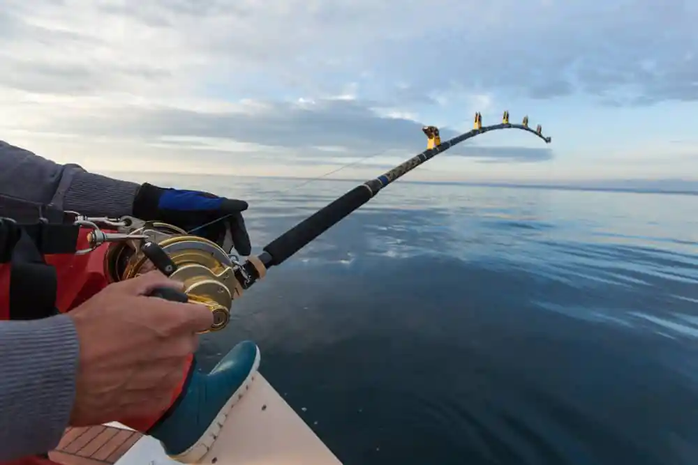 Fishing
