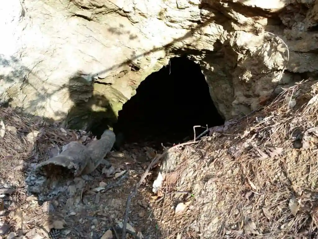 Gold Mine Park
