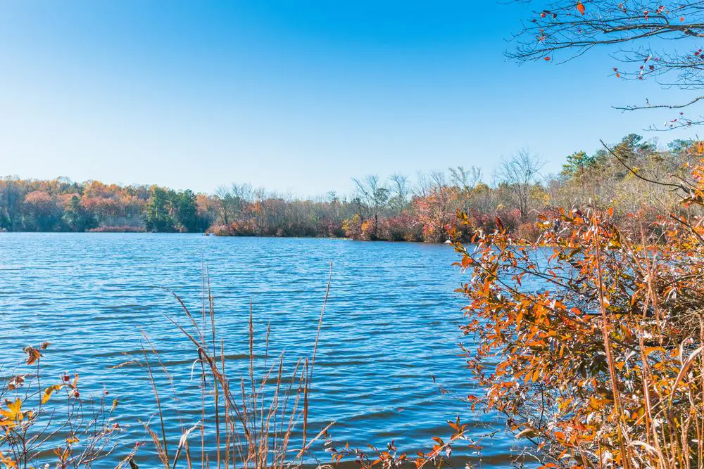 Killens Pond State Park