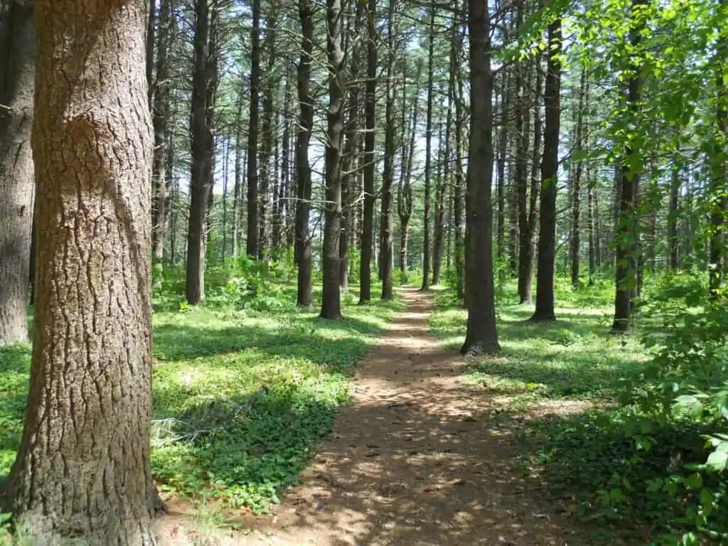 Maudslay State Park