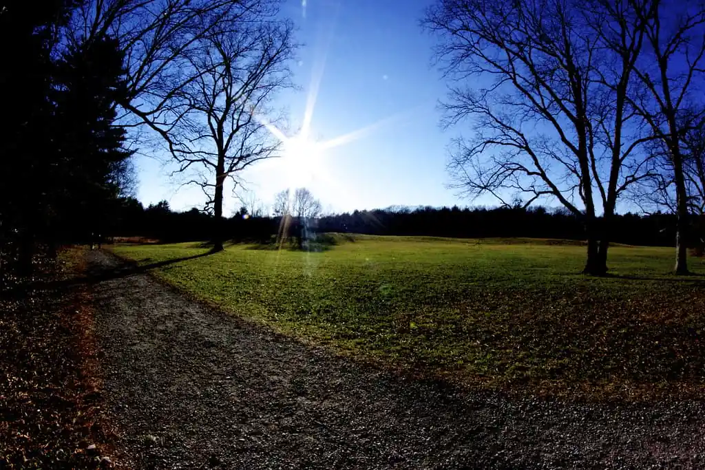 NRTβs Sheep Pasture