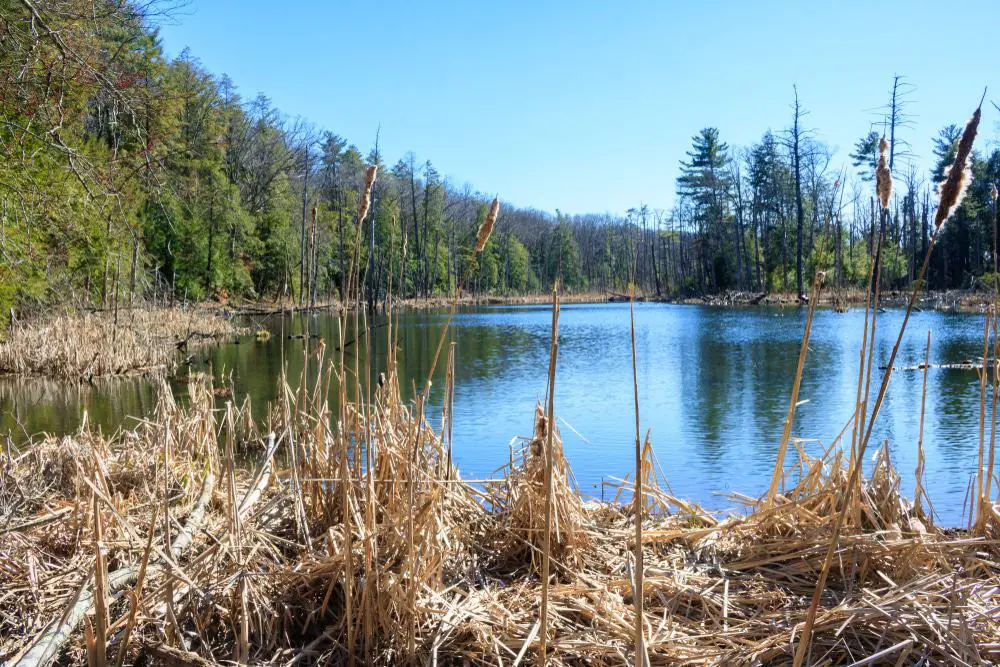 Northwest Park