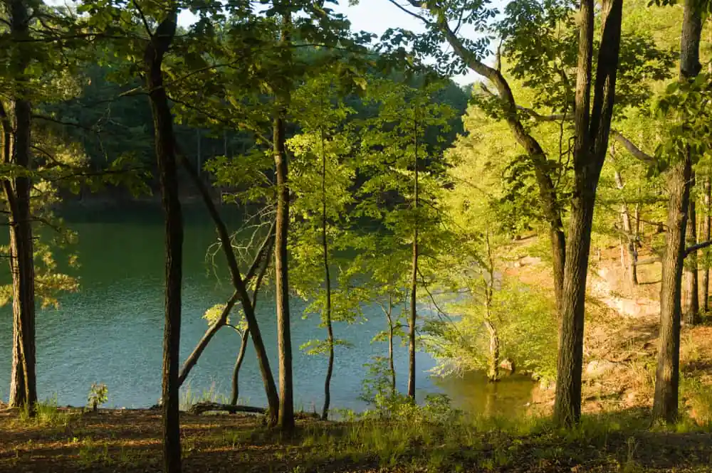 Red Top Mountain State Park