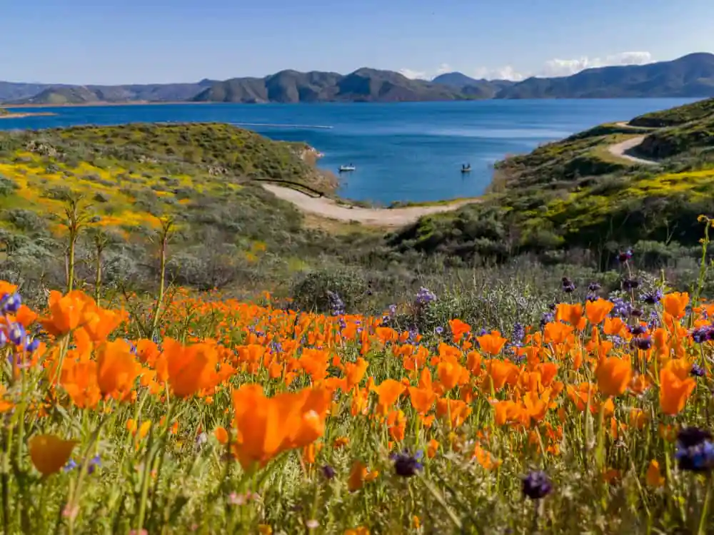Diamond Valley Lake