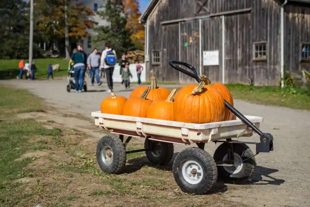 Russell Orchards