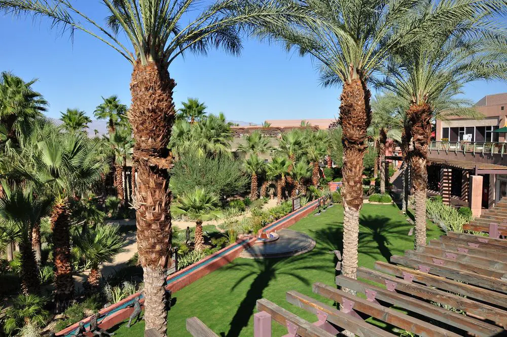 Landscaping at