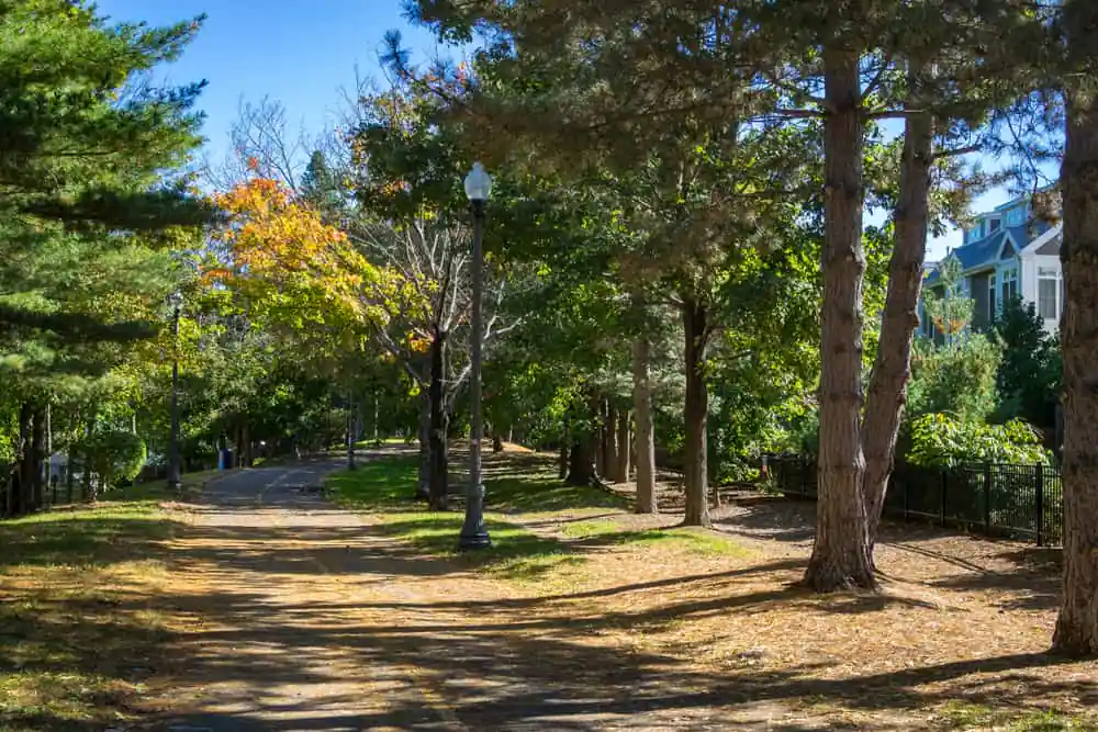 Somerville Community Path