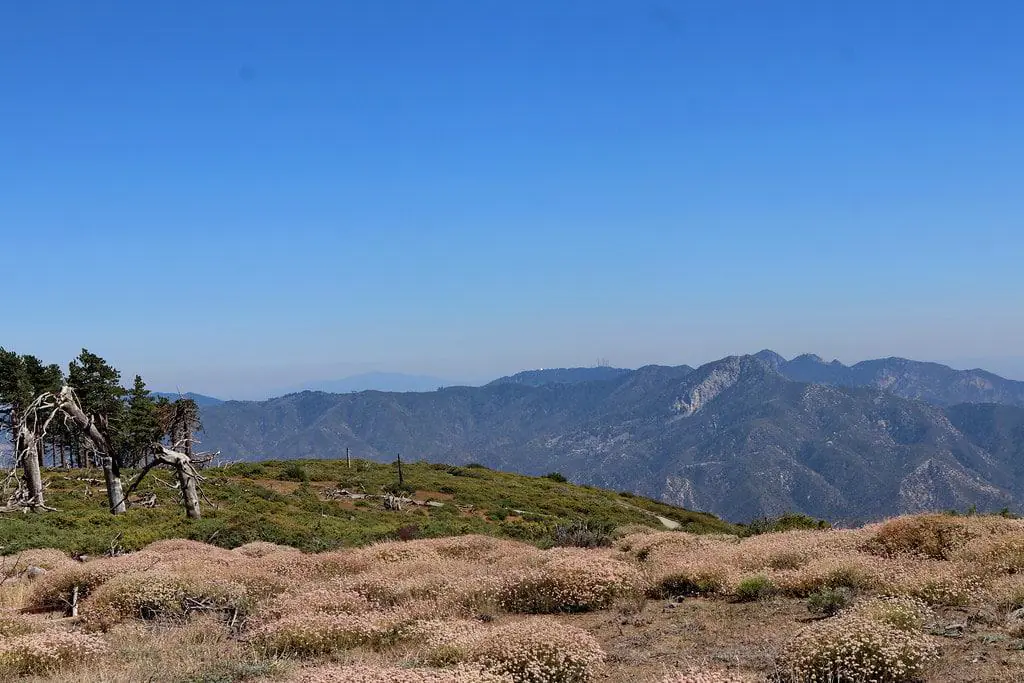 View from Mount Gleason