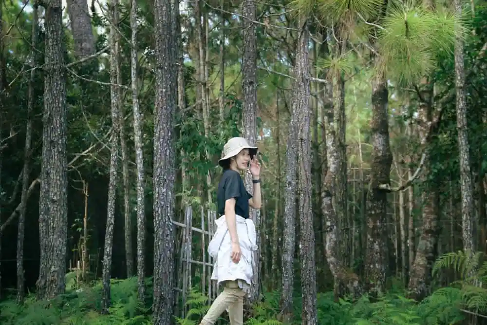 Hiking