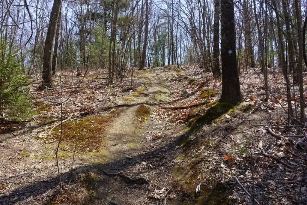 Whipple Hill