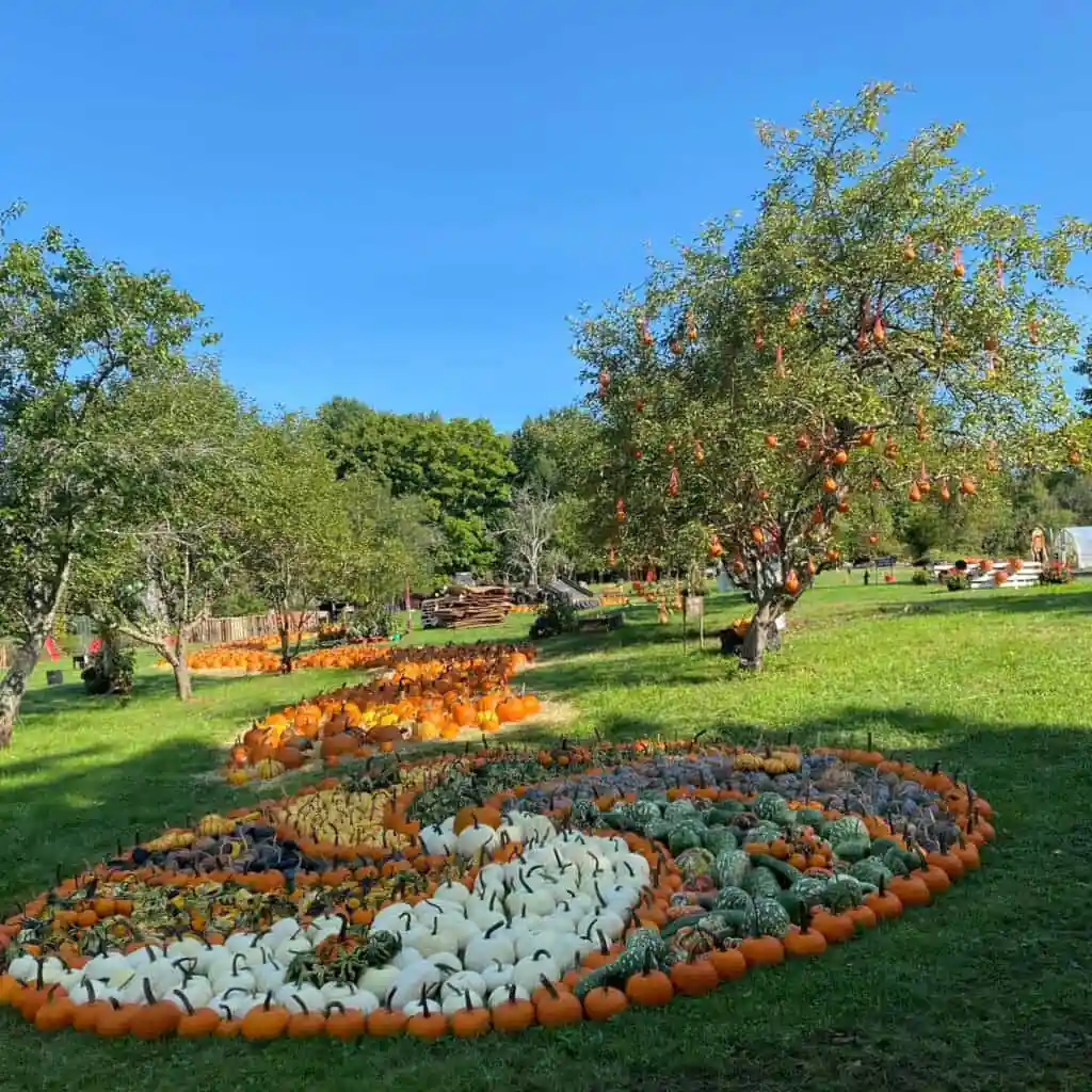 Bemis Farms Nursery