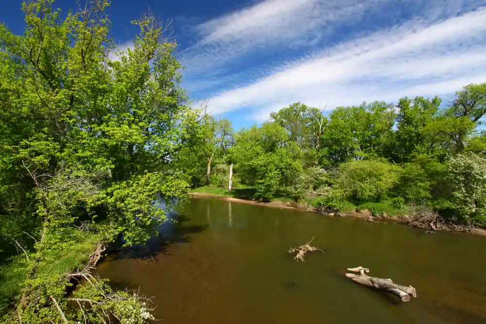 Blackhawk Springs Forest Preserve