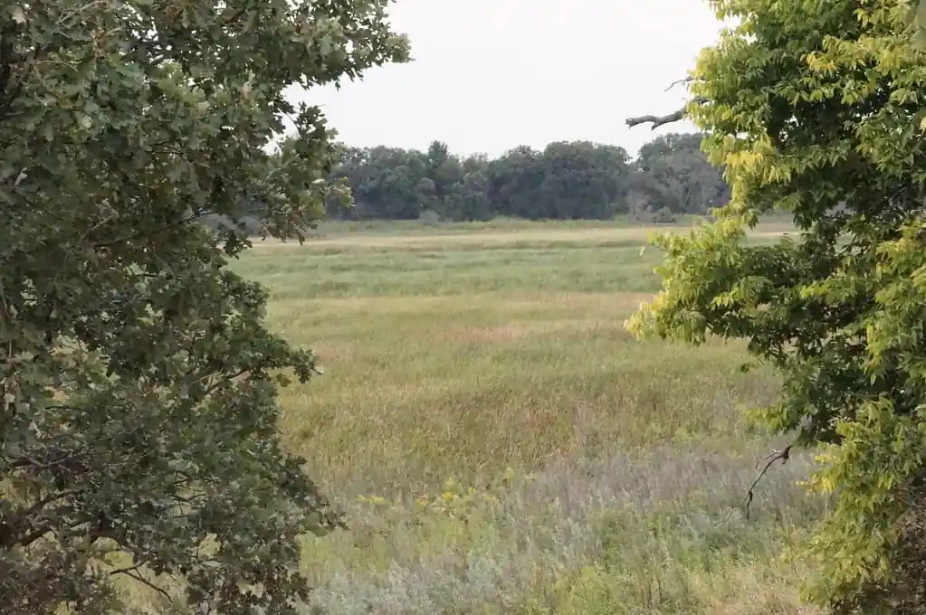 Dick Young Forest Preserve