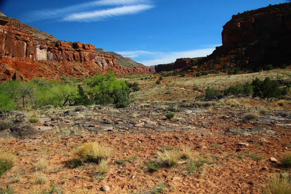 Dominguez Canyon