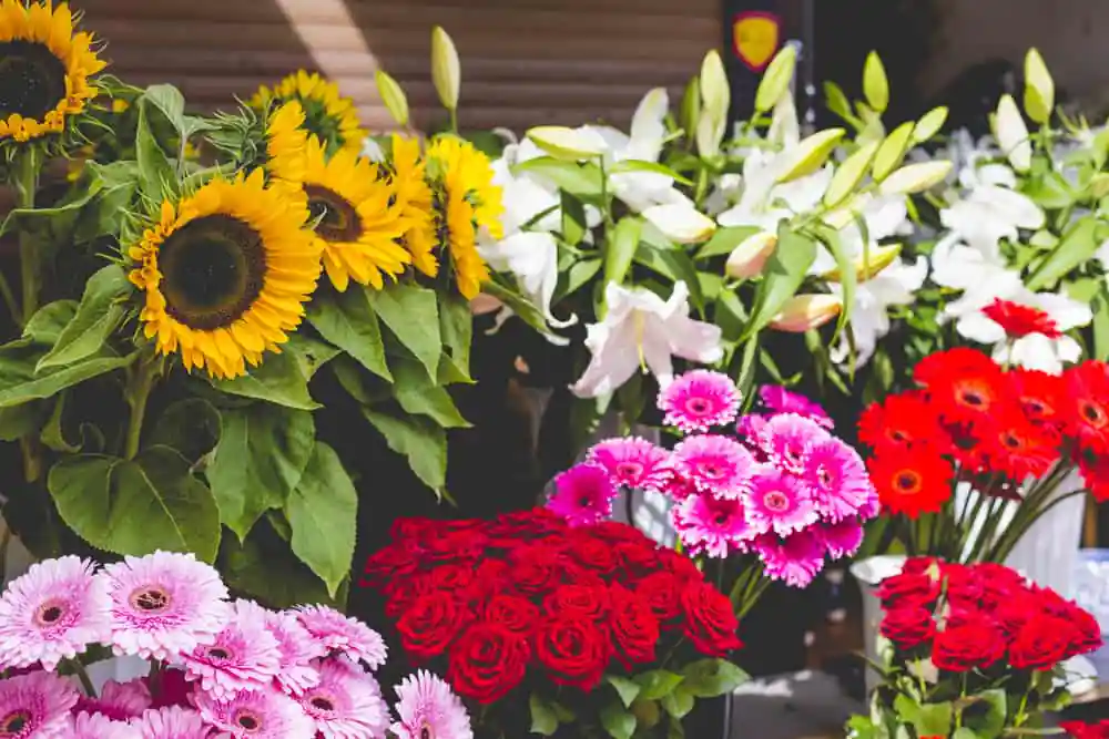 Flower Market