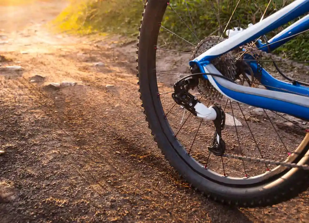 Mountain Biking