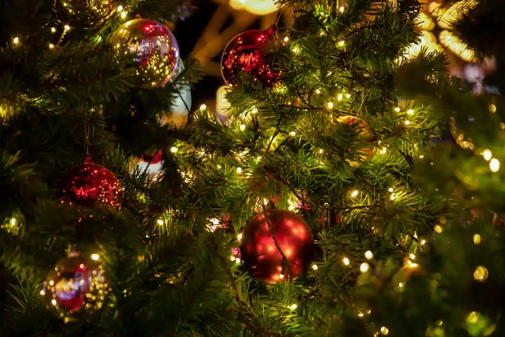 Christmas Tree
