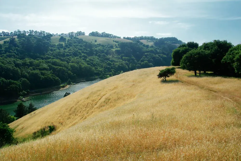 Anthony Chabot Regional Park