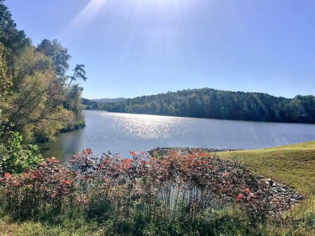 Haig Mill Lake Park