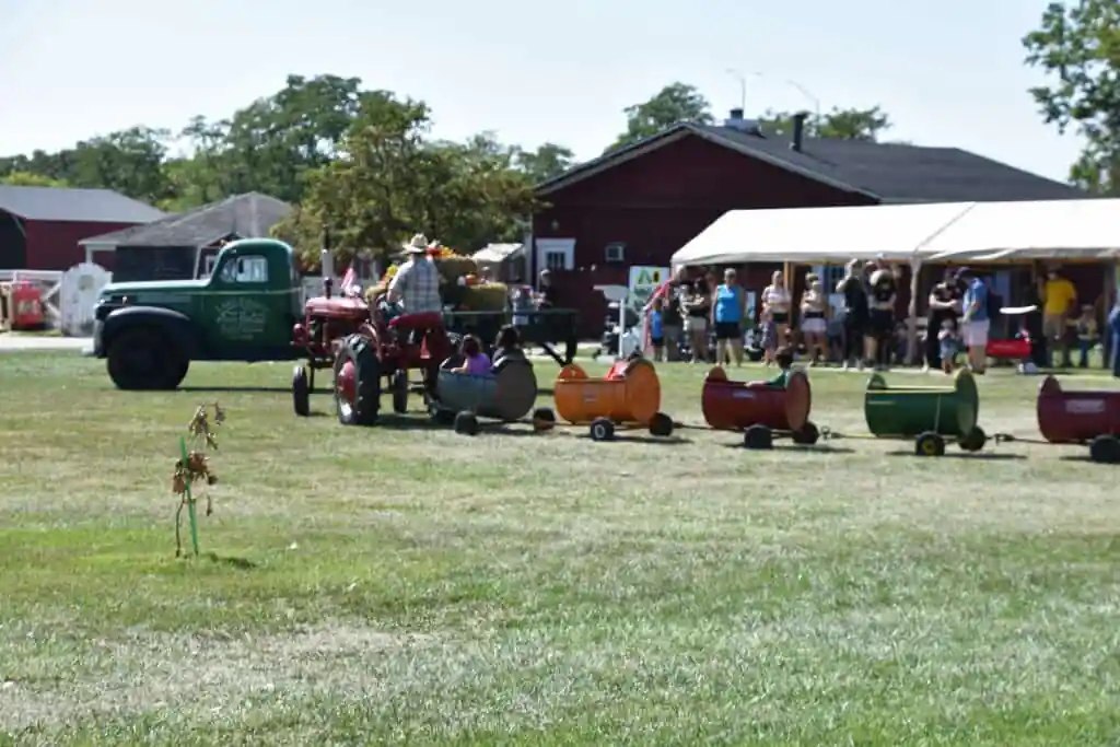 Lambs Farm