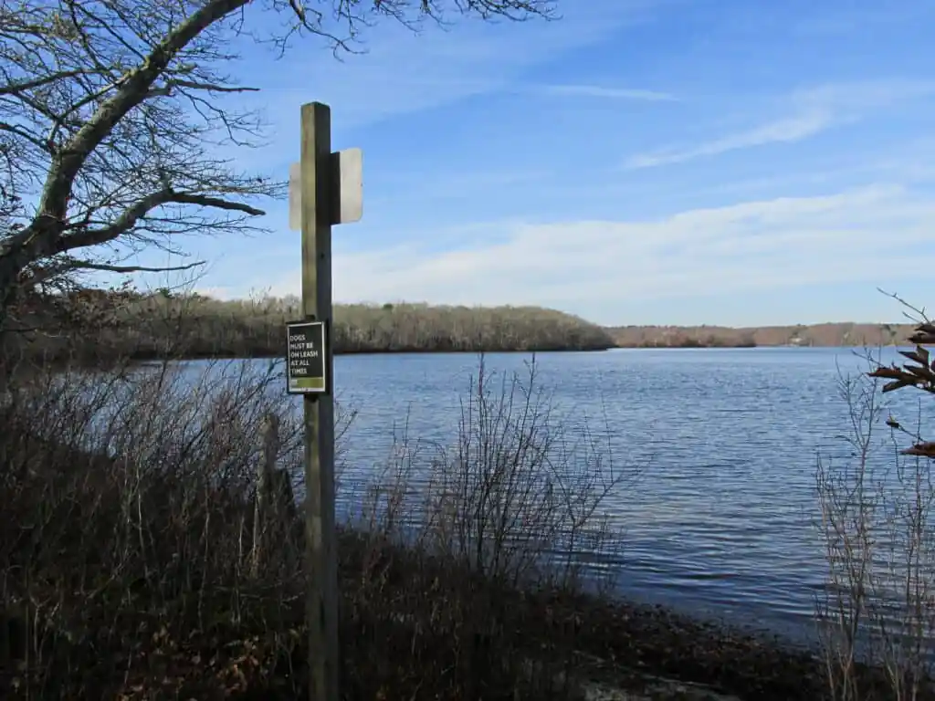 Lowell Holly Reservation