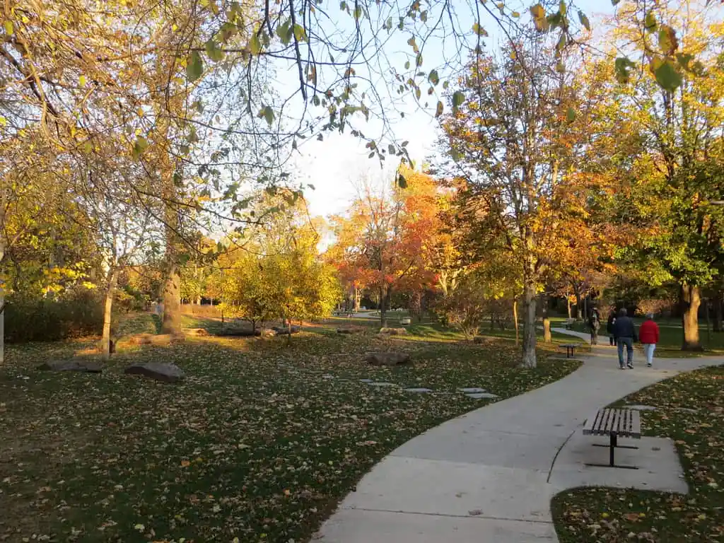 Mills Park