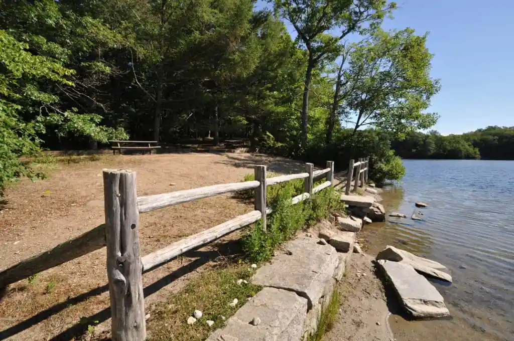 Nehantic State Forest