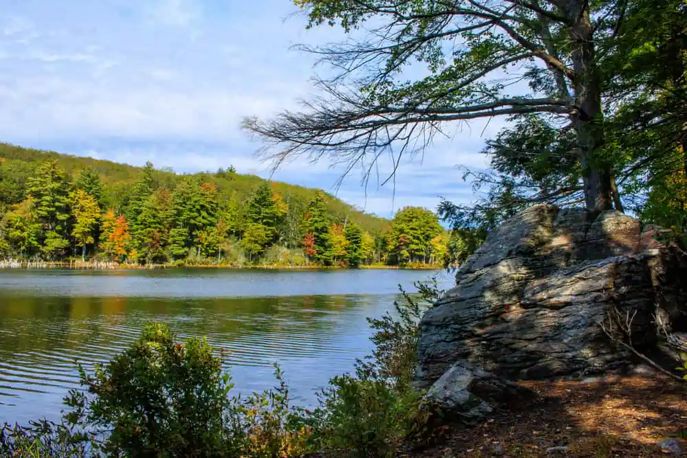 Nipmuck State Forest