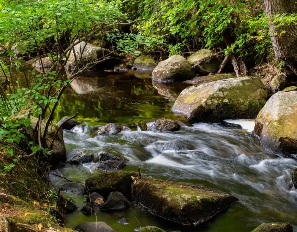 Pearl Hill State Park