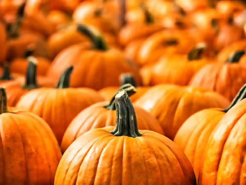 Pumpkins